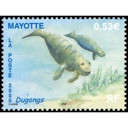 Mayotte - 176