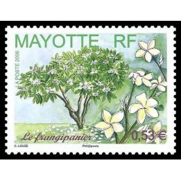 Mayotte - 191