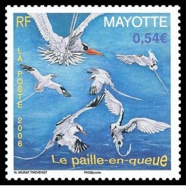 Mayotte - 193
