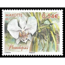 Mayotte - 195
