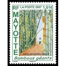 Mayotte - 197
