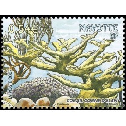Mayotte - 200