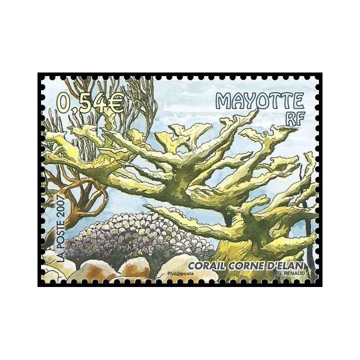 Mayotte - 200