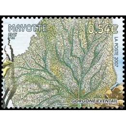 Mayotte - 201