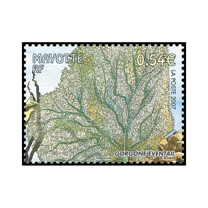 Mayotte - 201