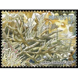 Mayotte - 202