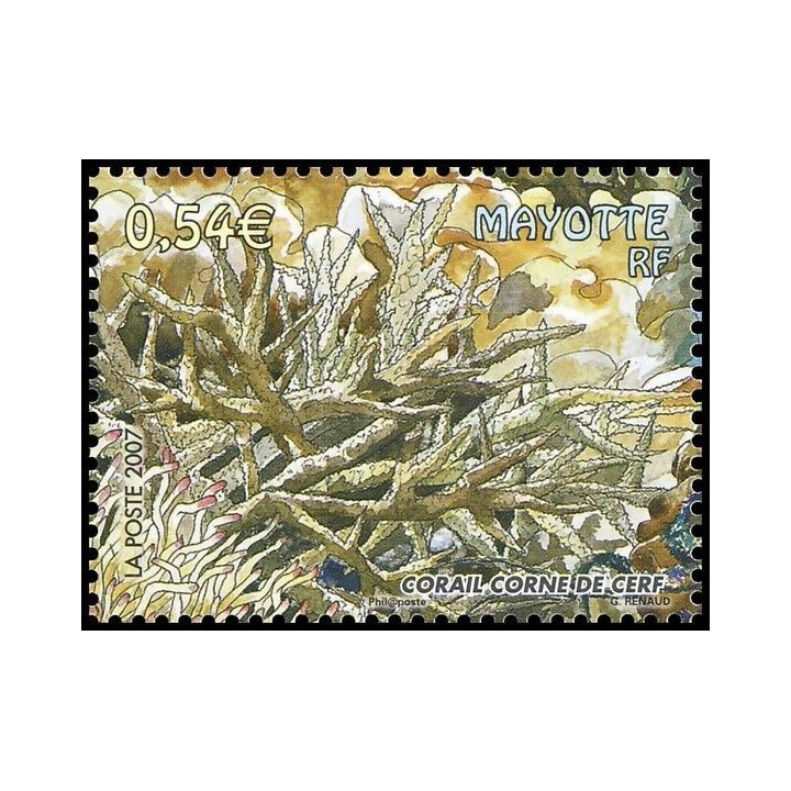 Mayotte - 202