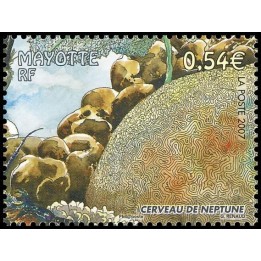 Mayotte - 203