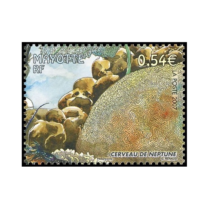Mayotte - 203