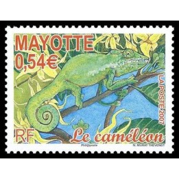 Mayotte - 204