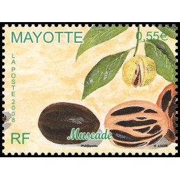 Mayotte - 211