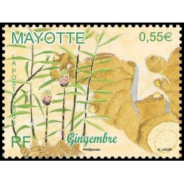 Mayotte - 213