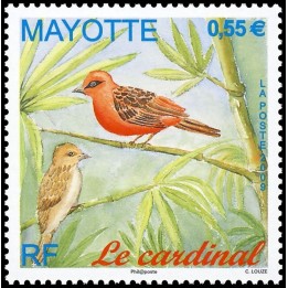 Mayotte - 221