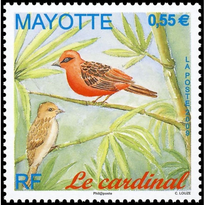 Mayotte - 221