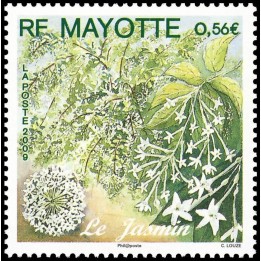 Mayotte - 230