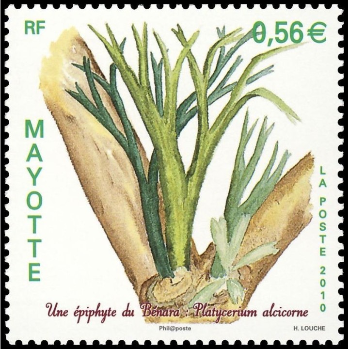 Mayotte - 236