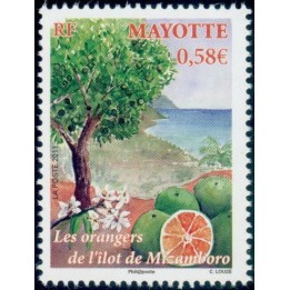 Mayotte - 252
