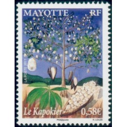 Mayotte - 253