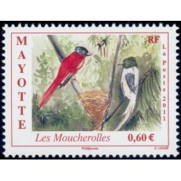 Mayotte - 257
