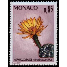 Monaco - 1000