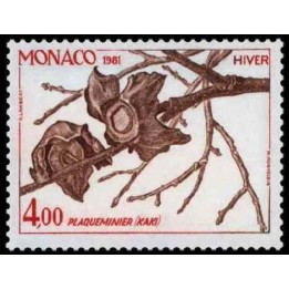 Monaco - 1305