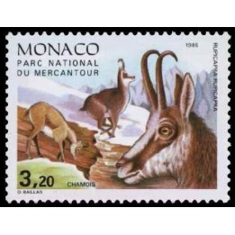 Monaco - 1524