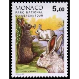 Monaco - 1526