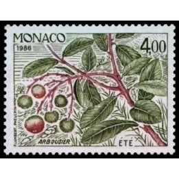 Monaco - 1560