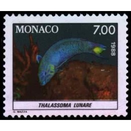 Monaco - 1620