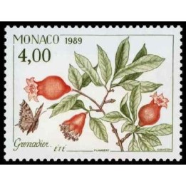 Monaco - 1682