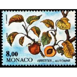 Monaco - 1955