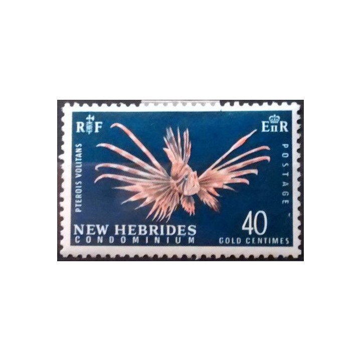 Nlles Hebrides - 221