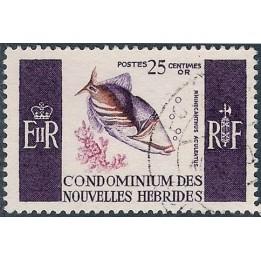 Nlles Hebrides - 240