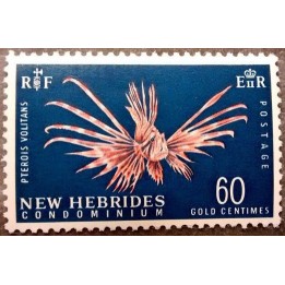 Nlles Hebrides - 266