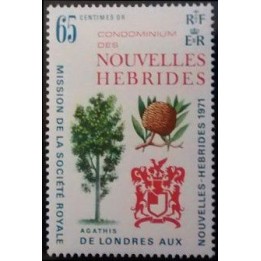 Nlles Hebrides - 312
