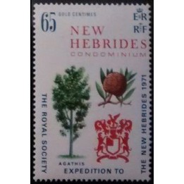 Nlles Hebrides - 313