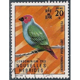 Nlles Hebrides - 329