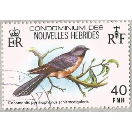 Nlles Hebrides - 578