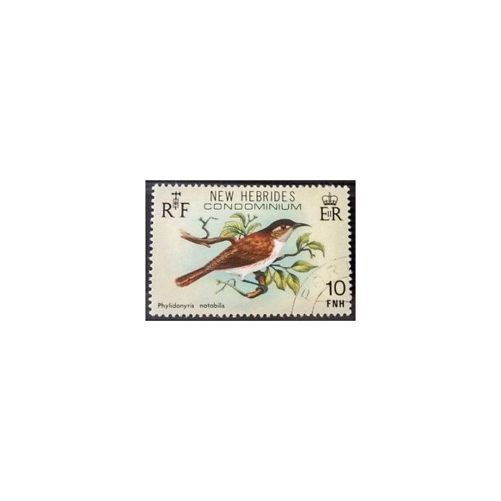 Nlles Hebrides - 579
