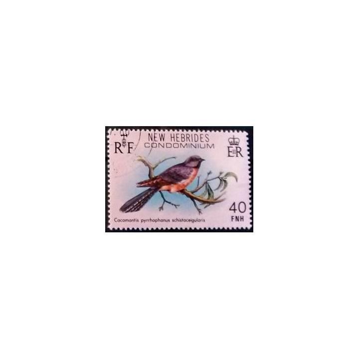 Nlles Hebrides - 582