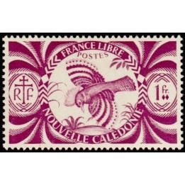 Nouvelle-Caledonie - 0236