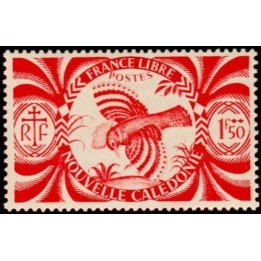 Nouvelle-Caledonie - 0237