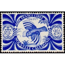 Nouvelle-Caledonie - 0239