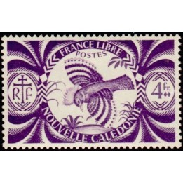 Nouvelle-Caledonie - 0240