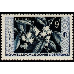 Nouvelle-Caledonie - 0286