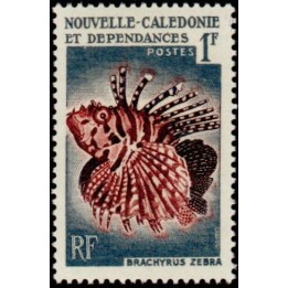 Nouvelle-Caledonie - 0291