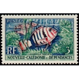 Nouvelle-Caledonie - 0292