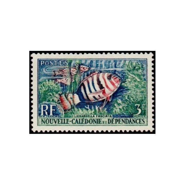 Nouvelle-Caledonie - 0292