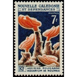 Nouvelle-Caledonie - 0322