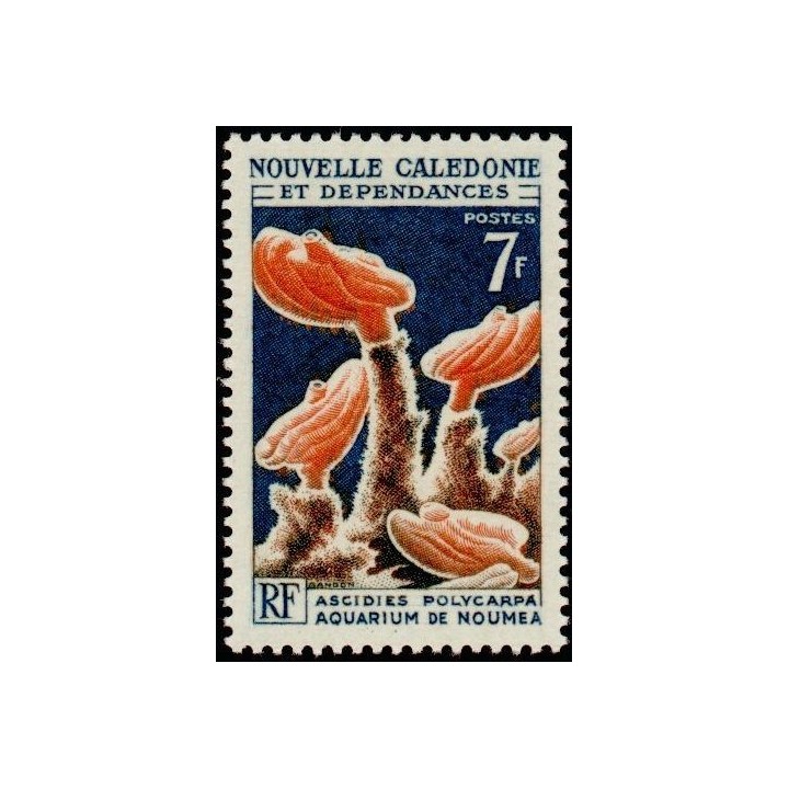 Nouvelle-Caledonie - 0322